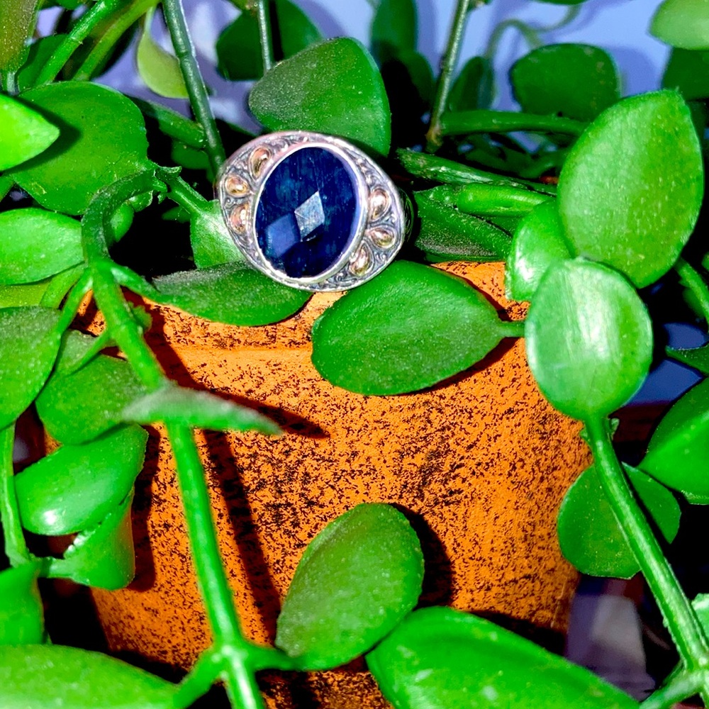 Samuel B Behnam SS/18k Lapis Ring Size 8
